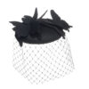 Veiled Flutter Beret